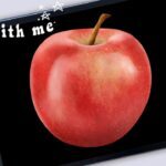 Draw with me - Realistic Apple | Procreate Digital Art Process - YouTube