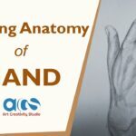 10 Cara Menggambar Tangan Anime dengan Berbagai Bentuk - Dailysia