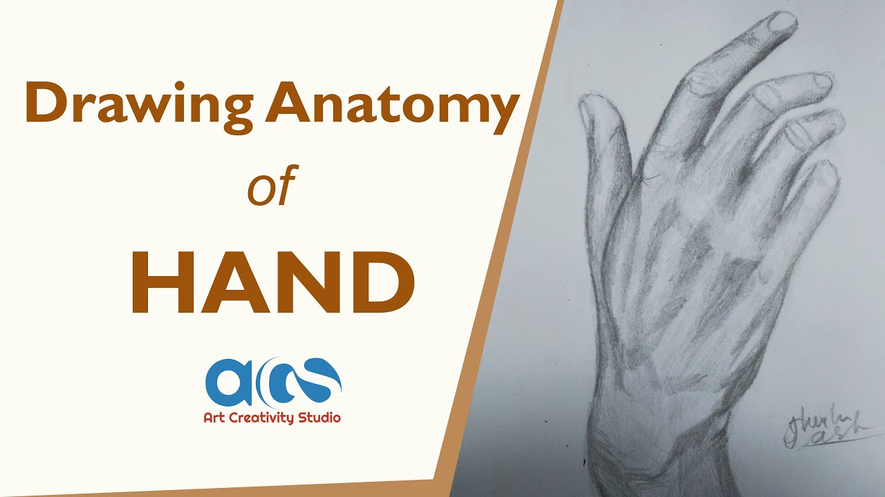 Cara Menggambar Tangan Dengan Mudah (Metode Kotak & Silinder)
